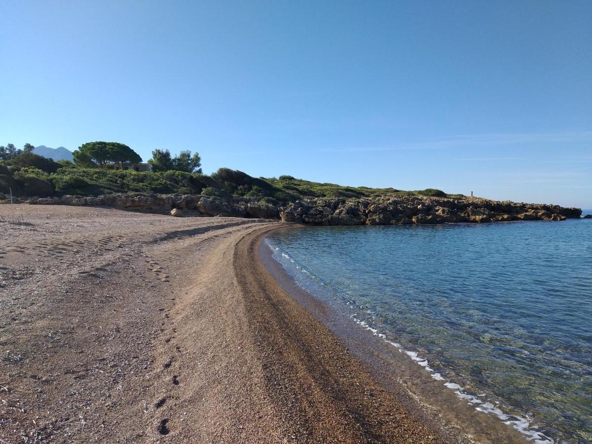 Tzanetos Seaside 度假居