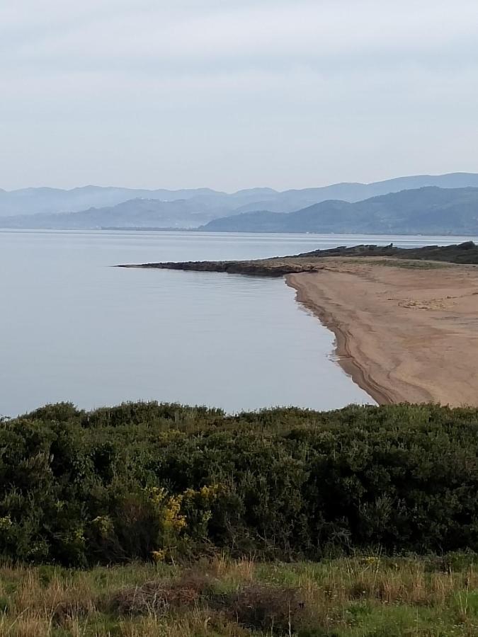 Tzanetos Seaside 度假居 *